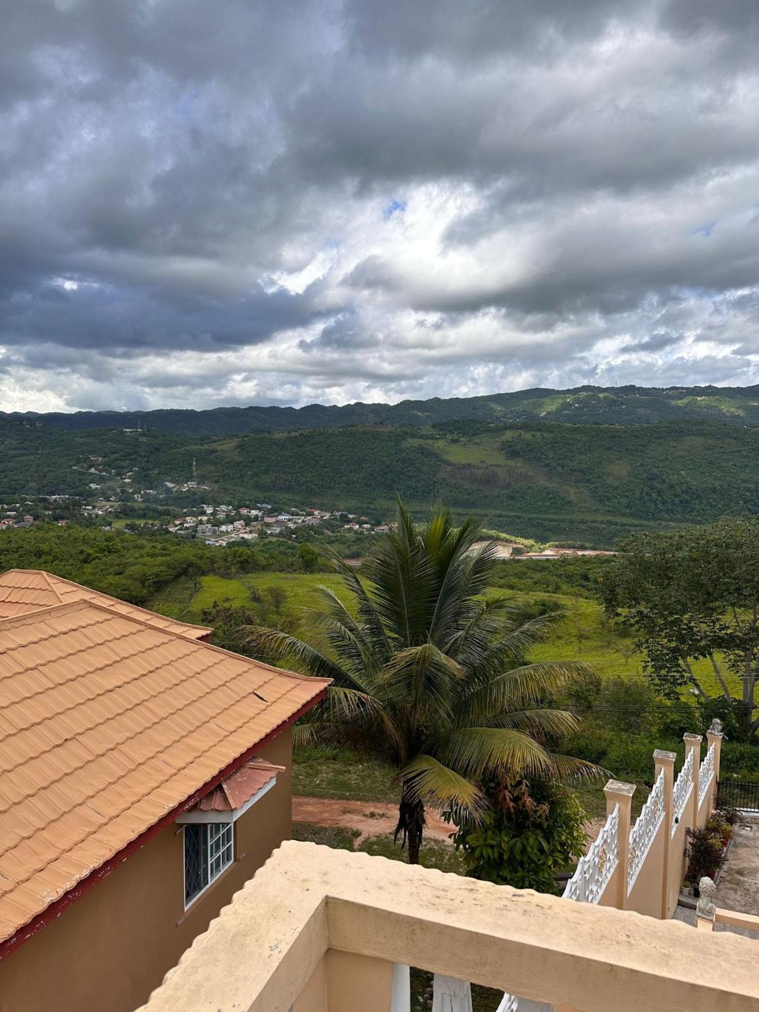 Lion'S View Bed & Breakfast Mandeville Bagian luar foto