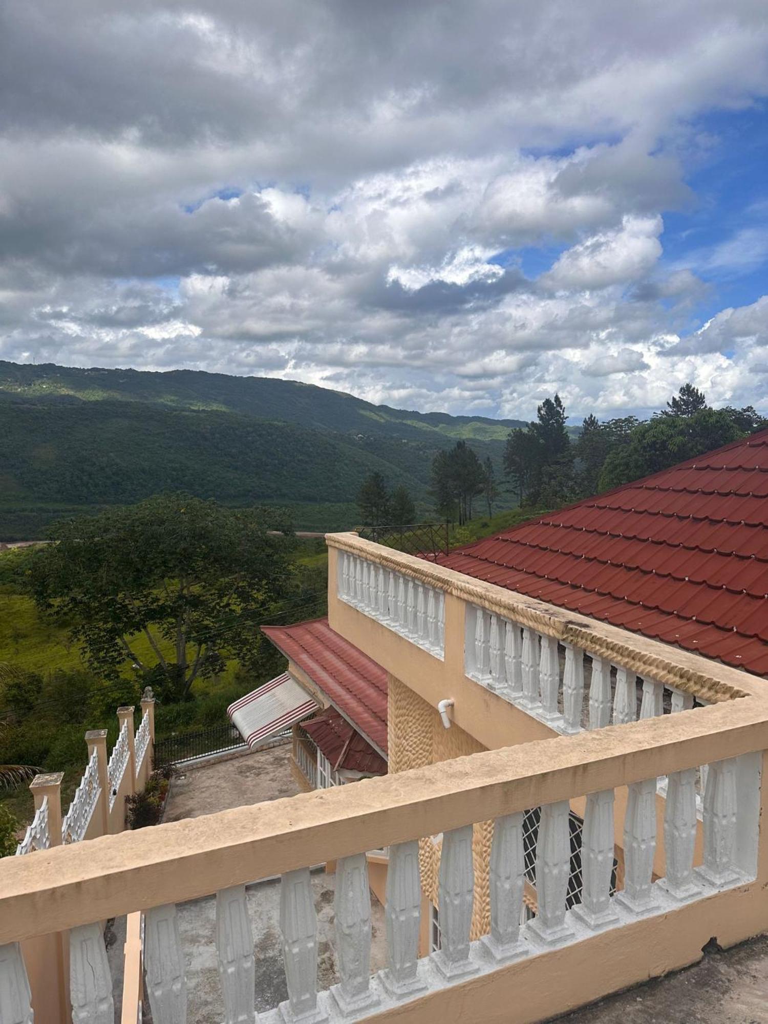 Lion'S View Bed & Breakfast Mandeville Bagian luar foto